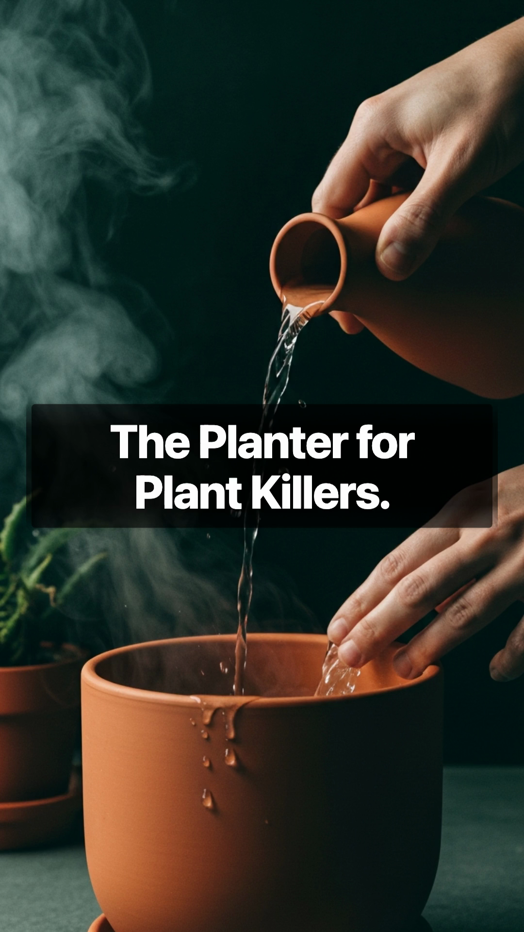 Generated ad — terracotta planter